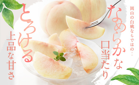 桃 2026年 先行予約 白桃 3玉 合計約800g もも モモ 岡山県産 国産 フルーツ 果物 ギフト
