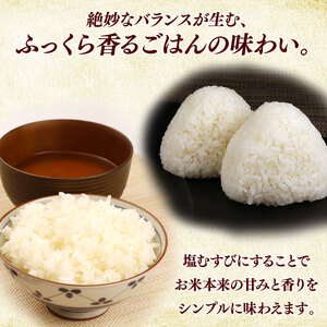 【無洗米】令和7年 彦根産 米 コシヒカリ 10kg（5kg×2袋）