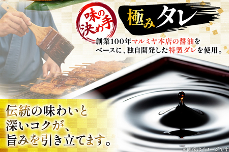 うなぎ 国産 蒲焼 2尾 計250g以上 うなぎ [452061714]