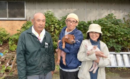 【国産】力豚 豚肉 もも しゃぶしゃぶ1.2kg 小分け ブランド豚 冷しゃぶサラダ 豚しゃぶ 鍋