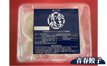 【定期便12ヶ月】餃子専門店青春餃子 もちもち肉汁餃子15個入り×3パック 45個（計540個）