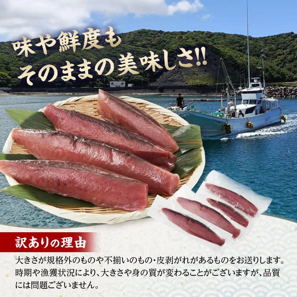 かつお 直送 生かつお 訳あり 1kg入