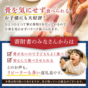 【定期便】【訳あり】骨取り塩さば　切身500g（500g×1袋）【3か月連続お届け】 mi0012-0152