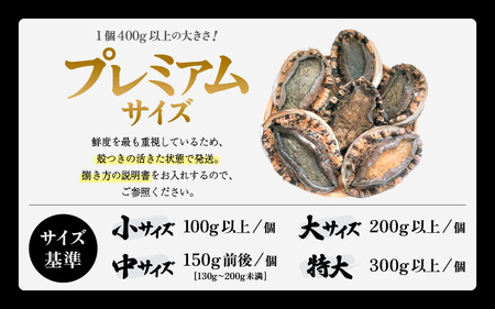 【先行予約】天然 黒あわび プレミアムサイズ 計2.2kg（4個以上）【2026年7月より順次発送予定】数量限定 黒あわび [m17-p003_07]