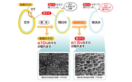 【令和７年産】奈義町産米 BG無洗米 きぬむすめ10kg【窒素充填包装】お米 米 無洗米 岡山県