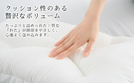 【幸田町限定枕】ロフテー エアウィーヴインピロー 枕