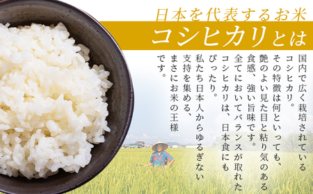 どぶろく工房香南 新米 コシヒカリ 約５㎏(令和7年8月収穫) db-0049
