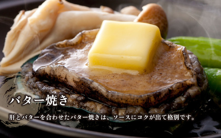 【先行予約】天然 活あわび 計600g ≪おまかせ≫【2026年7月より順次発送予定】 鮮度抜群 あわび [m17-d006_07]