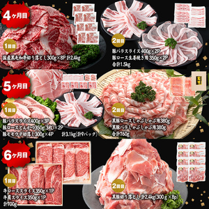 【定期便11ヶ月】ししまる定期便S(11ヶ月連続 月1～2回お届け！・計44.06kg) 黒毛和牛 黒豚 国産牛 九州産 豚 豚肉 肉 牛肉 国産 4等級 小分け 真空包装 冷凍 t0377-001