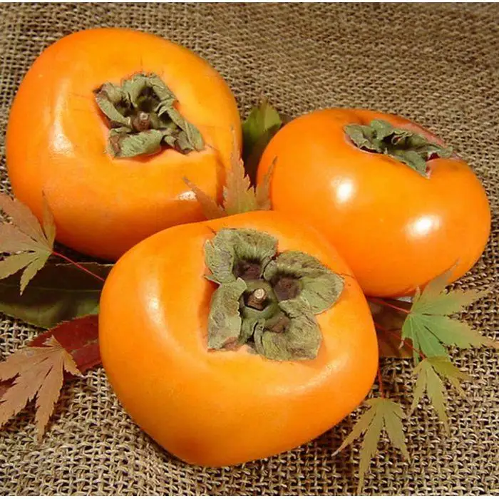 和歌山の種なし柿　約7.5kg（秀品：サイズ・品種おまかせ）／紀伊国屋文左衛門本舗［TC4］