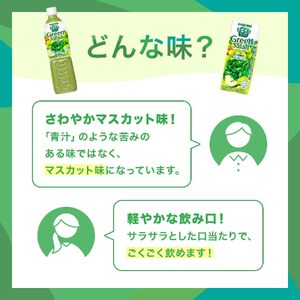 【定期便7ヶ月連続お届け】カゴメ 野菜生活100 グリーンサラダ 200ml 24本 野菜ジュース 果実ミックスジュース 紙パック