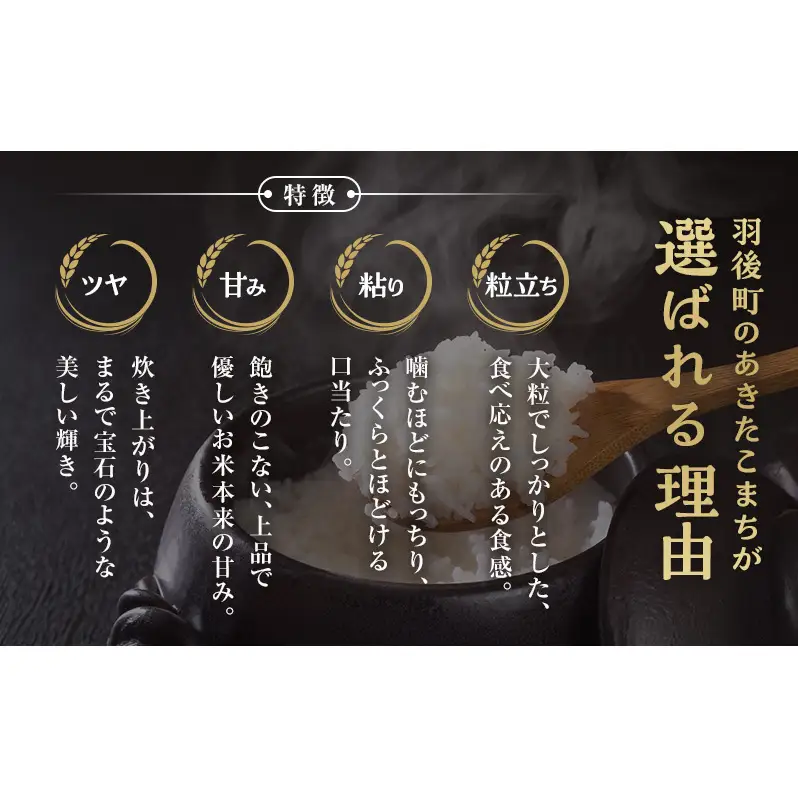 〈先行予約/11月発送開始〉秋田県 羽後産 あきたこまち 5kg 農家直送 [令和8年産] 横井農園【 米 お米 ご飯 あきたこまち ブランド米 銘柄米 農家直送 特産品 秋田 羽後 】