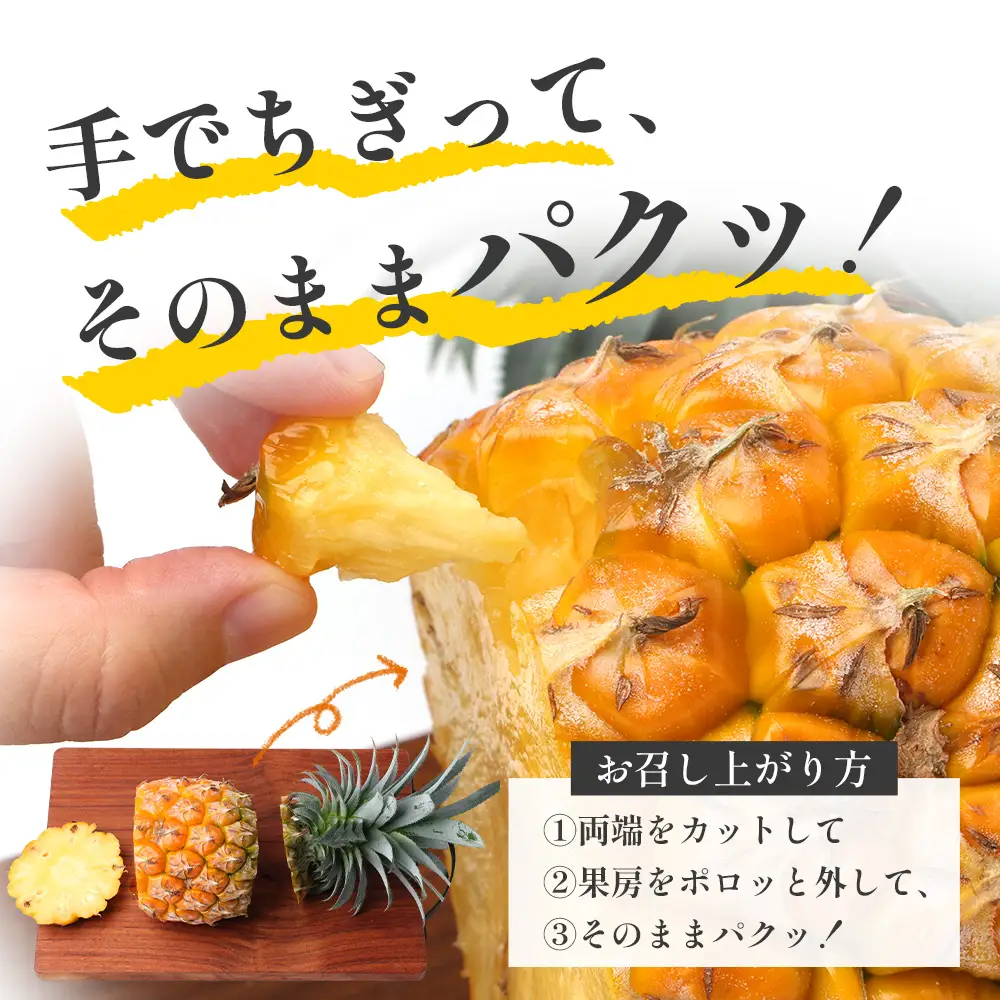 【先行受付】パイナップル/ボゴール種 (約800g×2玉) ≪2026年7月下旬以降順次発送≫ DS-004 ｜パイン パイナップル パインアップル フルーツ ボゴールパイン スナックパイン 産地直送 送料無料 鹿児島県 南大隅町 株式会社デラセーラ