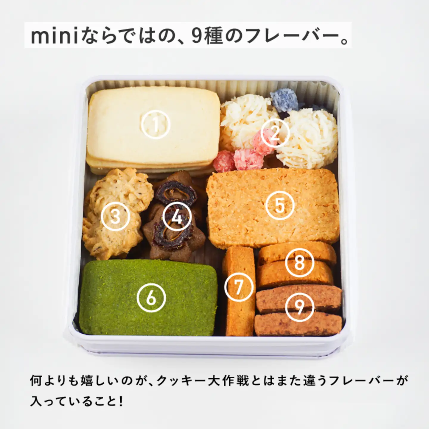 Keiku no クッキー大作戦--mini-- 【野尻ケイク】