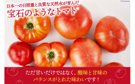 【2026年発送】 春作 訳あり 桃太郎トマト 約4kg [ヨダファーム 山梨県 中央市 21470975] 規格外 家庭用 不揃い トマト とまと 野菜 やさい 4キロ 季節限定 期間限定 産地直送 山梨県産 訳アリ tomato 【2026年4月上旬-6月下旬発送予定】