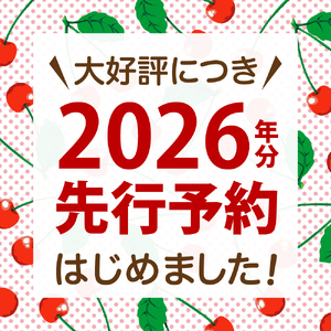 さくらんぼ 佐藤錦 700g 350g×2 令和8年産 さくらんぼ