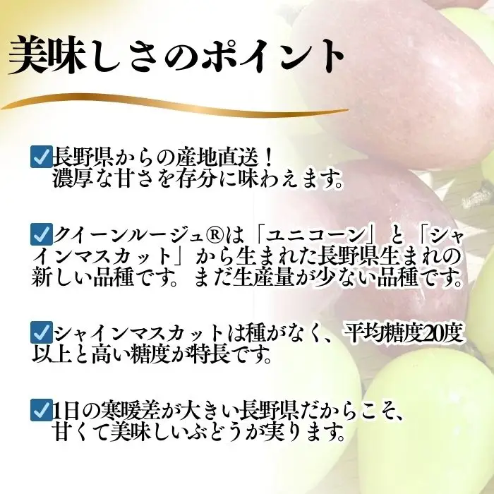 【2026年先行予約】シャインマスカット ＆ クイーンルージュ® 詰め合わせ セット  計約1kg（2~3房）※最低900g以上｜ ぶどう ぶどう
