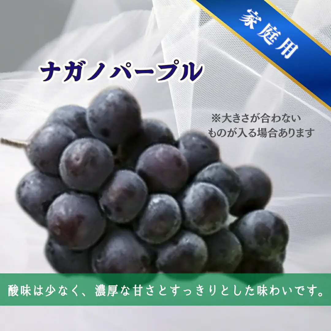 【2026年先行予約】家庭用 シャインマスカット＆ナガノパープル 約2kg（3~5房）｜ ぶどう