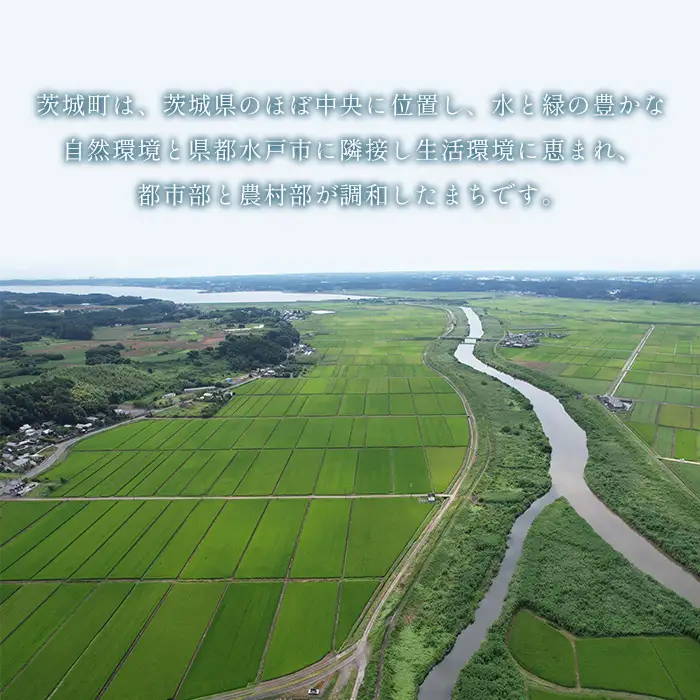 659 茨城町 秋の野菜セット メロン ほうれん草 トマト なす