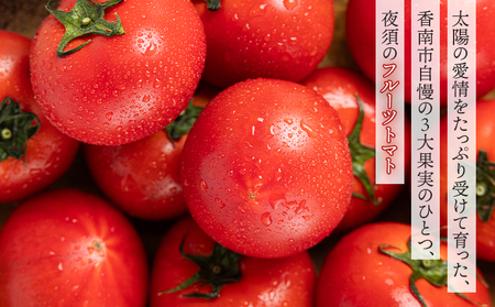 【2027年出荷分】夜須のフルーツトマト6kg 【旅サラダに取り上げられました！】 先行予約受付 期間限定 季節限定 野菜 やさい フルティカ 完熟 小ぶり 小さめ 糖度 熨斗 のし対応可 贈り物 おやつ サラダ フレッシュ 新鮮 送料無料 産地直送 高知県 香南市 yu-0074