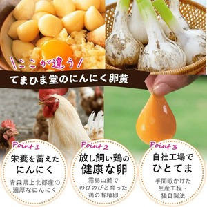 No.1290 てまひま にんにく卵黄(1袋・62粒入り) 鹿児島 日置市 ニンニク 健康食品 栄養 元気 有精卵 カプセル 安全安心 選べる 定期便 頒布会 サプリ サプリメント 健康 【てまひま堂】