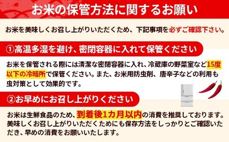 令和7年産『五霞の輝き』精米 10kg(5kg×2袋) 出荷日に合わせて精米 - ブレンド米 米 コシヒカリ あきたこまち ミルキークイーン ひとめぼれ ゆめひたち あさひの夢 チヨニシキ ふくまる 家庭用 家計応援 訳あり 茨城県 五霞町