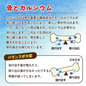 No.1289-A ＜定期便・全3回(隔月)＞カルシウム(1袋186粒入・2袋×3回 計6袋) 鹿児島 日置市 健康食品 サプリ 栄養バランス 食生活 安心安全 カルシウム 乳製品 歯 骨 にぼし 煮干し ビタミンD 定期便 頒布会【てまひま堂】