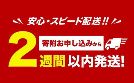 ネギトロ まぐろたたき 合計500g（100g×5パック） まぐろ マグロ 鮪 たたき マグロのタタキ 魚 魚介類 冷凍