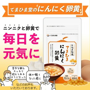 No.1298-A ＜定期便・全3回(隔月)＞活力セット(てまひま にんにく卵黄・ビタミンB群/各2袋×3回 計12袋) 鹿児島 日置市 ニンニク 健康食品 加工食品 栄養 元気 有精卵 カプセル 手軽に 安全安心【てまひま堂】