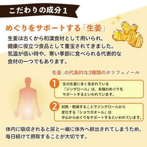 No.1285-A てまひま にんにく卵黄生姜(1袋 62粒入り・2袋×3回)  鹿児島 日置市 ニンニク 健康食品 栄養 元気 カプセル 安全安心 生姜 サプリ サプリメント 定期便 頒布会 【てまひま堂】