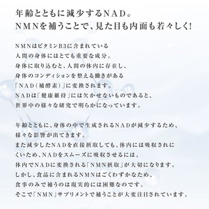 0090-105-01 NMN サプリメント 20000mg 日本製 国内製造 GABA ボタンボウフウ 5-ALA 核酸 ビタミンE ビタミンC クエン酸 鉄 Na 葉酸 daina NMN+ 90粒 30日 3本