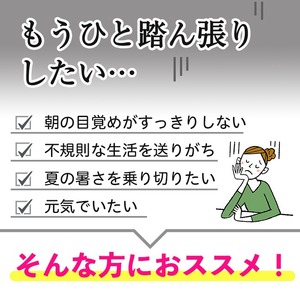 No.1300-B ＜定期便・全6回(隔月)＞ビタミンB群(2袋×6回・計12袋) 鹿児島 日置市 健康食品 サプリ 栄養バランス 食生活 安心安全 ビタミン 定期便 頒布会 【てまひま堂】