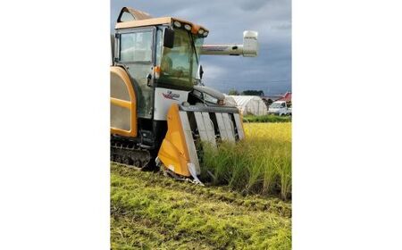 米粉麺 10袋（フェットチーネ、うどん各5袋）｜麺 家庭用 グルテンフリー 小麦粉不使用 こしひかり 米 こめ 名水百選 産地直送 期間限定 栃木県 塩谷町 ※2025年12月上旬～2026年5月下旬頃に順次発送予定