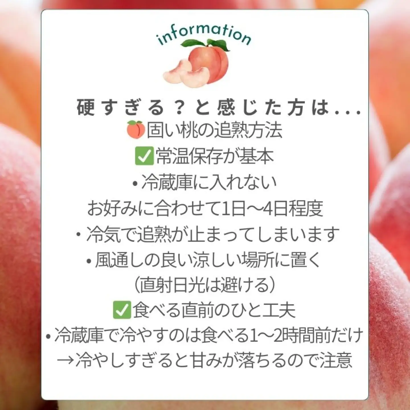 【2026年　先行予約】山梨県産　朝採れカターい桃 約２Kg（5～8玉）｜もも フルーツ