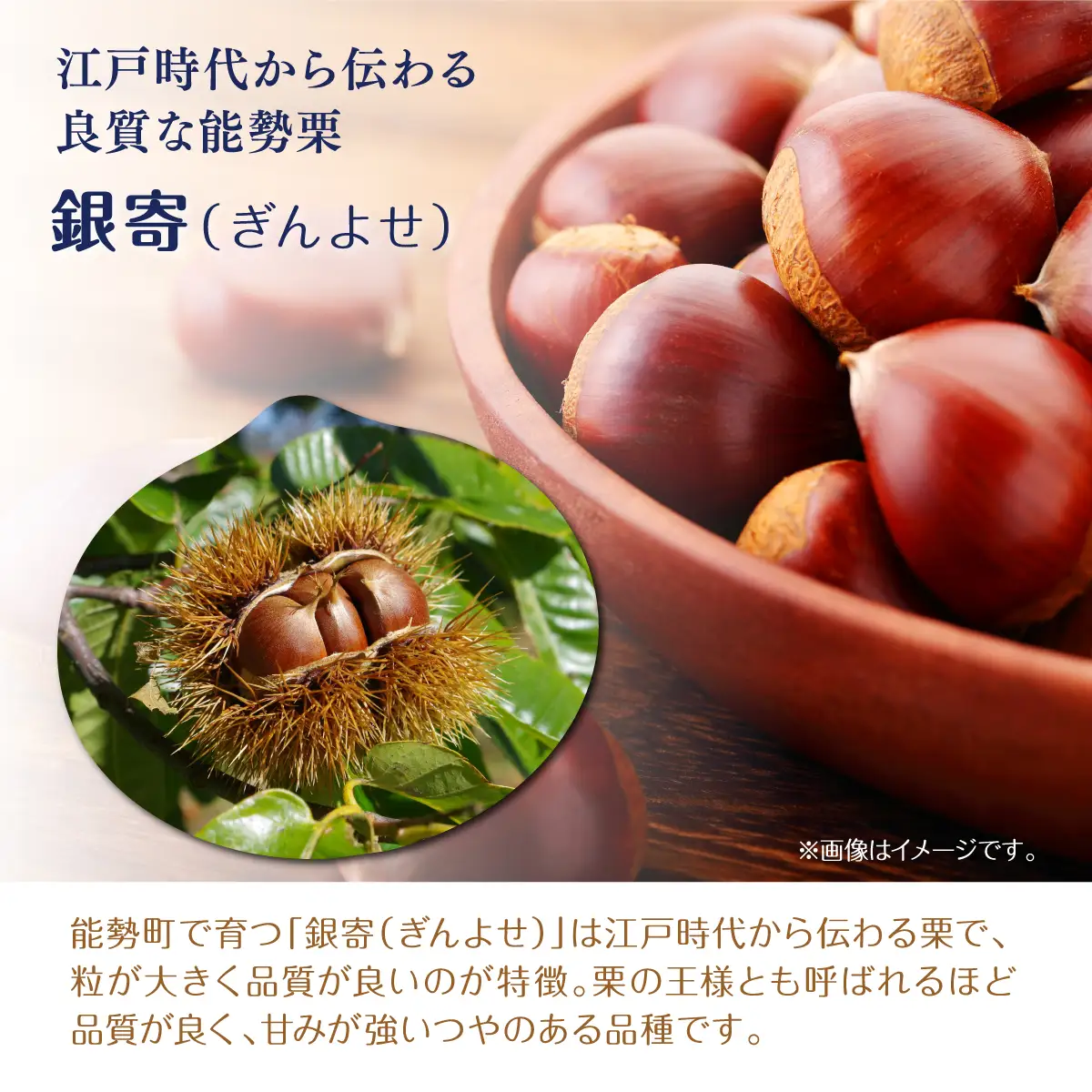 【ふるさと納税】昭和一桁から受け継ぐ素朴な味わい「能勢栗もなか」20個入 | 木田菓子店 | もなか 和菓子 お茶菓子 餡 スイーツ 菓子 粒あん 個包装 老舗 | 大阪府 能勢町