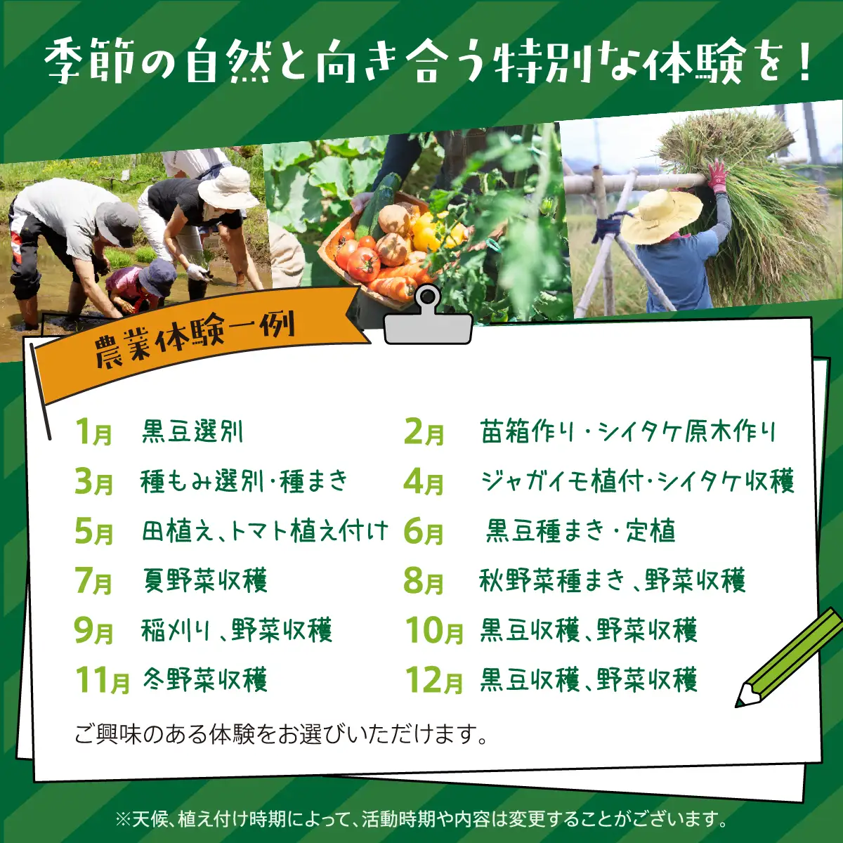 【ふるさと納税】特別な田舎体験を、標高500mの集落で！(1回分/約2時間/4名様まで) | 天王恵み会 |  農業体験 田舎体験 体験 チケット 自然体験 旅行 特別な時間 ハイキング 川遊び ホタル観賞 標高500m 日帰り アクティビティ アウトドア |  大阪府 能勢町 送料無料