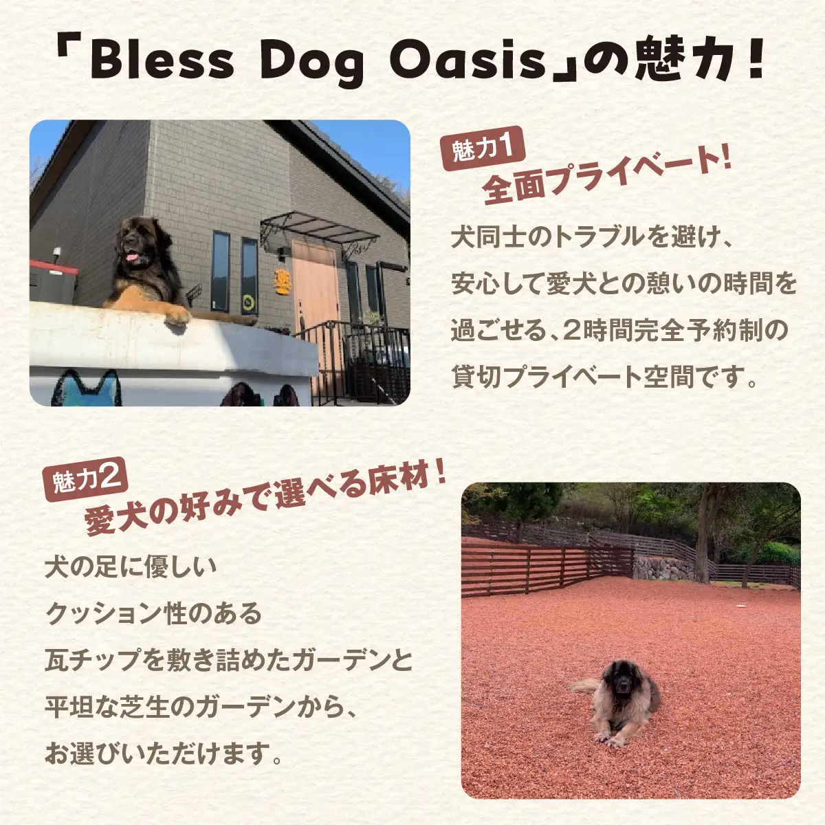 【完全予約制】自然を活かした全面プライベートドッグラン・ドッグガーデン 利用補助券 3,000円分 (500円 × 6回分) | Bless Dog Oasis | ドッグラン ドッグガーデン わんちゃん 犬 ペット チケット 券 貸切 プライベート 広い 体験 レジャー 自然 運動 アウトドア【1273634】 