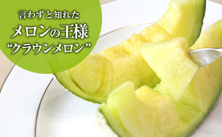 クラウンメロン 2玉入り 約2.4kg 白等級 化粧箱入り 果物 フルーツ メロン メロンの王様 最高級 贈答品 プレゼント お取り寄せ 浜松市 静岡