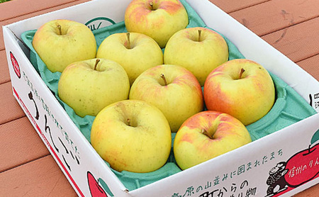 【2026年11月発送】 ぐんま名月約3kg 7～9玉 りんご 長野県産