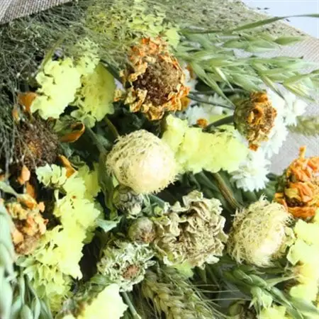 信州八ヶ岳の麓から贈るドライフラワースワッグS(イエロー)【1659308】