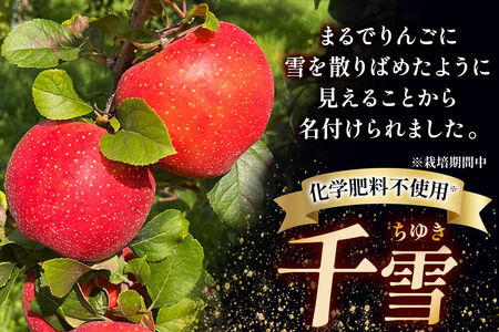 【26年10月下旬～発送】りんご 千雪 約3kg カワムラファーム【家庭用】青森 果物 フルーツ 林檎 リンゴ くだもの