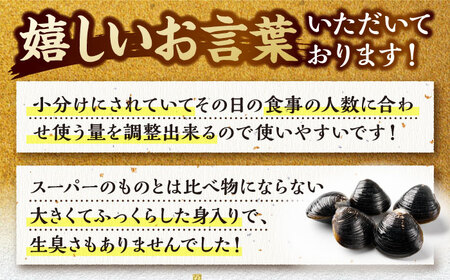 しじみ 【全3回定期便】生産量日本一！宍道湖産 ヤマトシジミMサイズ（真空冷凍） 80g×15袋 島根県松江市/有限会社日本シジミ研究所[ALBS003] しじみ しじみ
