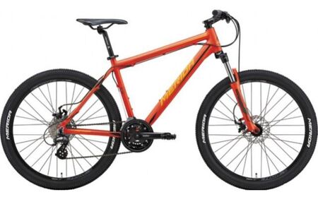 レンタルサイクル 2名様1日利用サービス券 体験チケット HNNC005