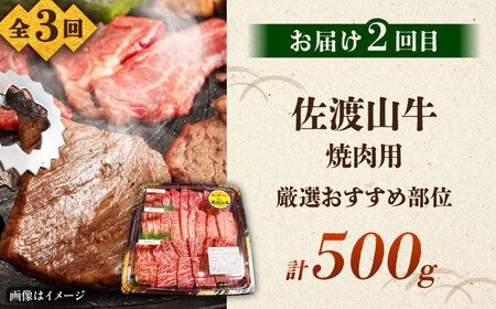 【全3回定期便】沖縄ブランド牛を堪能！贅沢お肉定期便【沖縄市】牛肉 和牛 サーロインステーキ 焼肉 赤身 沖縄市 / 肉のサブロー / お肉屋本店[BCZZ027]