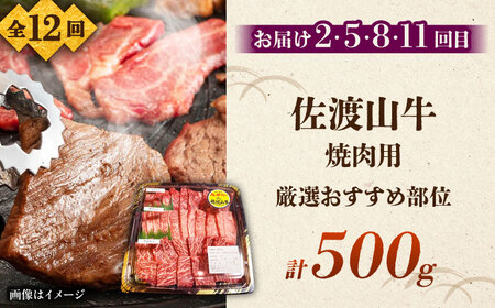 【全12回定期便】沖縄ブランド牛を堪能！贅沢お肉定期便【沖縄市】牛肉 和牛 サーロインステーキ 焼肉 赤身 沖縄市 / 肉のサブロー / お肉屋本店[BCZZ029]