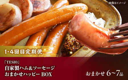 【全6回定期便】沖縄の絶品肉加工品セット【沖縄市】豚肉 ハム ソーセージ 豚まん ぶたまん ちまき 焼売 シュウマイ ハンバーグ 沖縄市 / TESIO / 豚々茶舗 / お肉屋本店[BCZZ031]