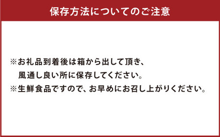 【先行受付】特別栽培河内晩柑 9kg サイズミックス 特別栽培 河内晩柑 柑橘 晩柑 ばんかん バンカン フルーツ 果物 果実 九州産 熊本県産【2026年4月上旬から7月上旬発送予定】