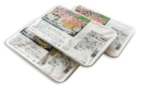 【12ヶ月定期便】ゆきむら壱番亭のニンニクにら餃子3パック(48個入り) ※離島への配送不可