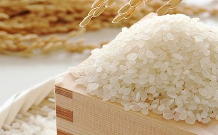 【令和7年産】果物屋さんが選んだ米 元気つくし 5kg [BGAG024]げんきつくし
