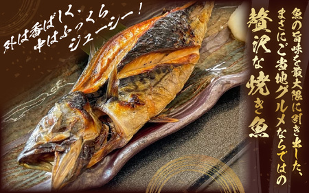 【福井県名物】丸焼き鯖 1本 【 魚 サバ  】 [e38-a004]